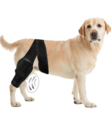 Amazon.co.jp: NexPon 犬用膝装具、犬用前十字靭帯膝装具後肢、後肢用